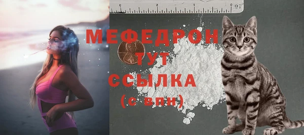 индика Абинск