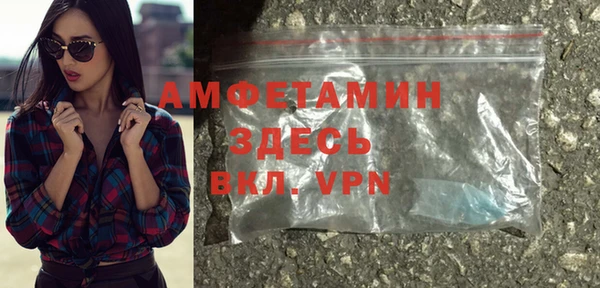 индика Абинск