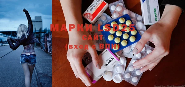 индика Абинск