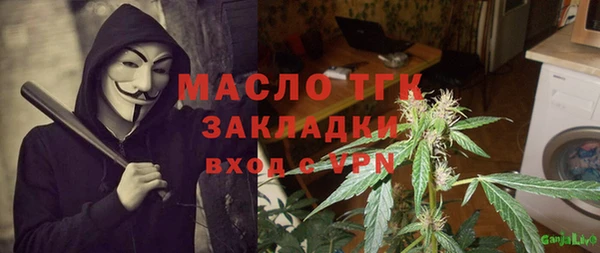 индика Абинск